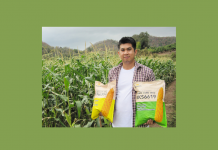 เกษตรกรหนุ่ม จากเชียงใหม่ ผสานไอเดีย ผ่านนวัตกรรมเมล็ดพันธุ์ข้าวโพดเลี้ยงสัตว์ลูกผสม สร้างแบรนด์ “เบอเคซ่า” ตั้งเป้าส่งออก 200 ตัน