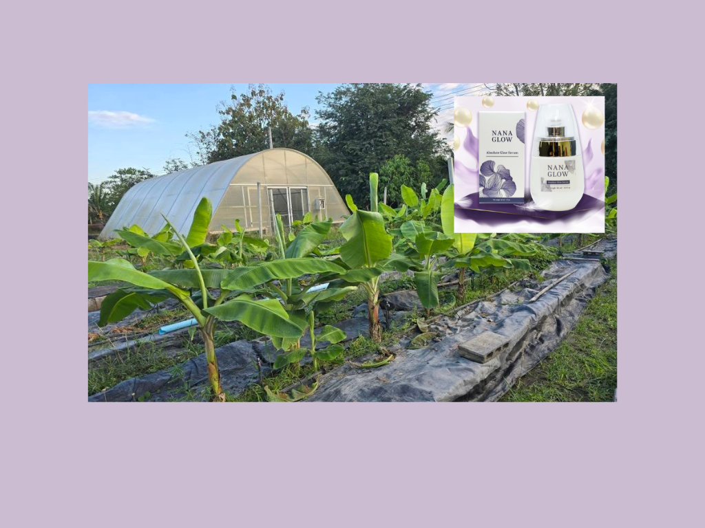 NanaGlow วว-Tistr