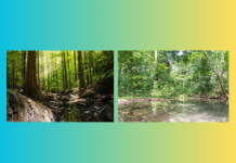 ไม่มีป่า ไม่มีน้ำ “ฟื้นฟูความหลากหลายทางชีวภาพ เพื่อรักษาต้นทุนน้ำในวันที่โลกเดือด”